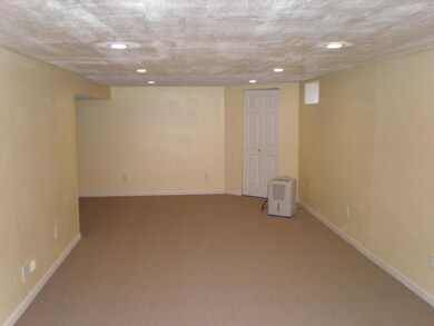 Full finished basement