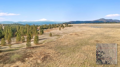 TBD N Ritchey Rd, Nine Mile Falls, WA 99026 - photo 6