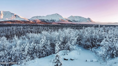 Mile 73.5 Richardson Hwy, Chitina, AK 99566 - photo 3