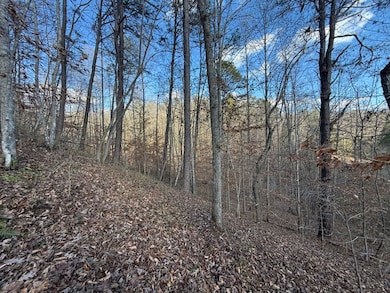 Rock Lick Lot unit Wp001, Jackson, KY 41339 - photo 6