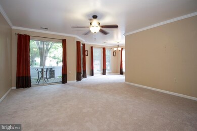 5011 Triplett Rd unit 5011, Owings Mills, MD 21117 - photo 3