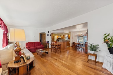 1689 Eckmansville Rd, West Union, OH 45693 - photo 6