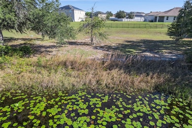 733 Black Eagle Dr, Groveland, FL 34736 - photo 6