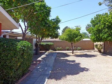 Rear Yard