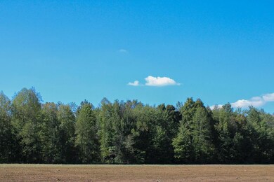 7530 W Private Rd 775 S, Commiskey, IN 47227 - photo 6