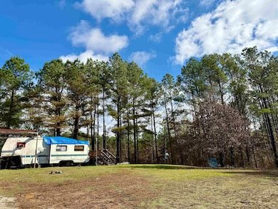 2470 Arkansas 84, Amity, AR 71921 - photo 7