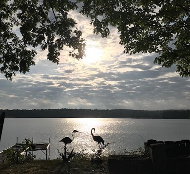 6) Enjoy wildlife on your own peninsula
