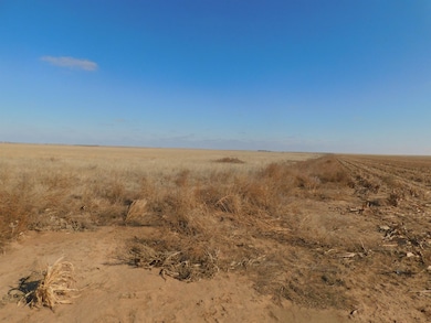SW 1/4 13-6N-13 SW Texas County, Guymon, OK 73942 - photo 6