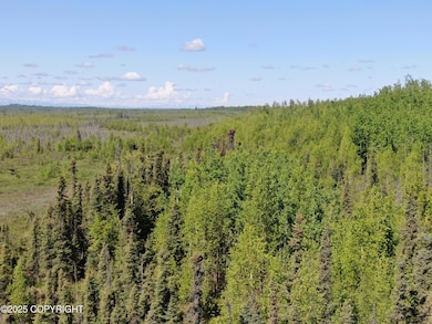 B002 S Johnsons Rd, Wasilla, AK 99654 - photo 5