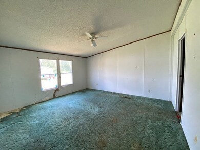 1047 County Road 913, Brazoria, TX 77422 - photo 7