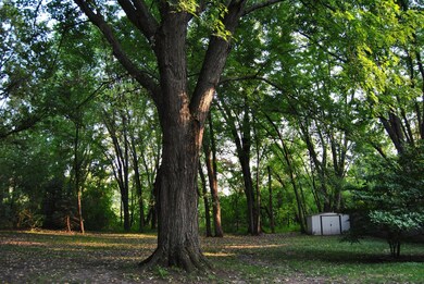 7793 15th St N, Saint Paul, MN 55128 - photo 2