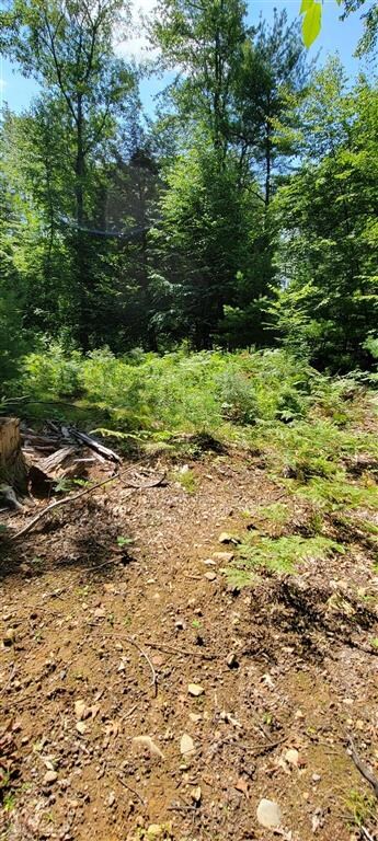 00 Earls Rd unit Lot A, South Berwick, ME 03908 - photo 7