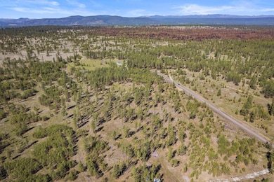 5742 Corkscrew Canyon Rd unit Lot 3, Tumtum, WA 99034 - photo 7