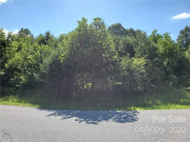 0 Wolf River Ln unit 62, Lake Lure, NC 28746 - photo 6