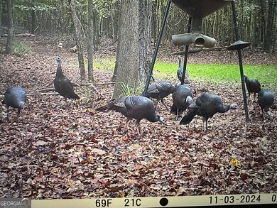 1070 Cedar Grove Dr, Buckhead, GA 30625 - photo 4