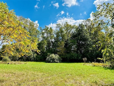 9810 Iosco Ridge Dr, Iosco Township, MI 48137 - photo 3