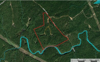 63 ac Lee Road 333, Salem, AL 36874 - photo 4