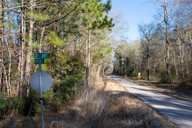 00 County Road 3812, Cleveland, TX 77328 - photo 6