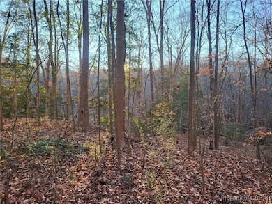Lot 18 Beech Tree Ct, Gloucester, VA 23061 - photo 3