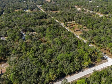 00 Norway St, Webster, FL 33597 - photo 4