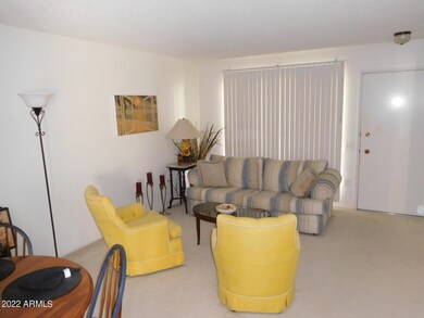 17405 N 102nd Dr, Sun City, AZ 85373 - photo 5