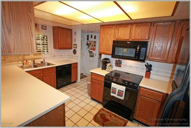 724 N Orlando Cir, Mesa, AZ 85205 - photo 4