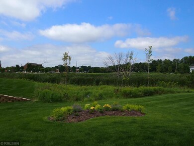 Wetland Views