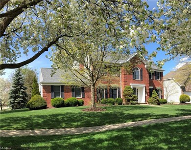 Flowering Street of Trees adorn Stillbrooke ...