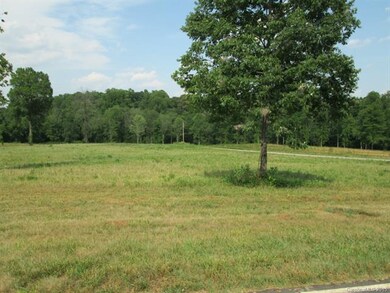 000 Cooper Farm Rd, Statesville, NC 28677 - photo 4