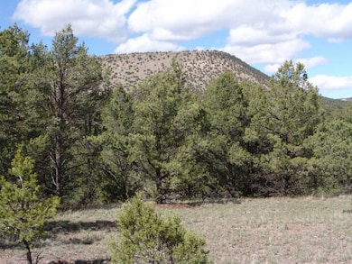 Lot 43 Morningstar Dr, Datil, NM 87821 - photo 7