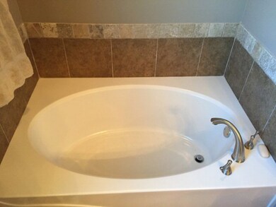 Garden Tub in Master