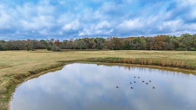 TBD Fm 154, Cooper, TX 75432 - photo 3