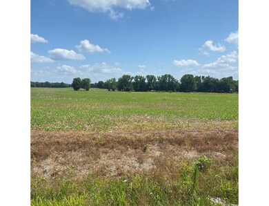 0 Salem Minor Hill Rd unit RTC2397898, Minor Hill, TN 38473 - photo 2