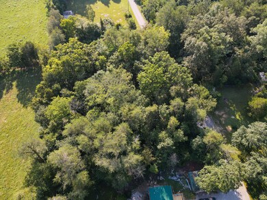 146 Lakeshore Dr, Burnside, KY 42519 - photo 5