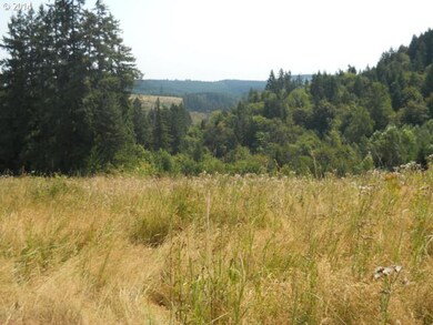 37909 S Bird Rd, Molalla, OR 97038 - photo 2