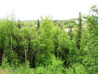 6531 E Upper Ct, Lakes, AK 99645 - photo 4