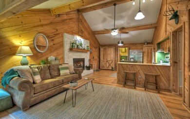 1055 Haymore Farm Rd, Mineral Bluff, GA 30559 - photo 4