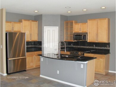 13103 Trenton Place, Thornton, CO 80602 - photo 4