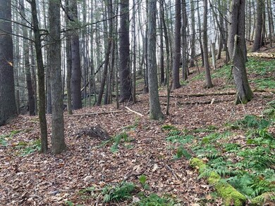 159 Mechanic St, Barre, MA 01005 - photo 6