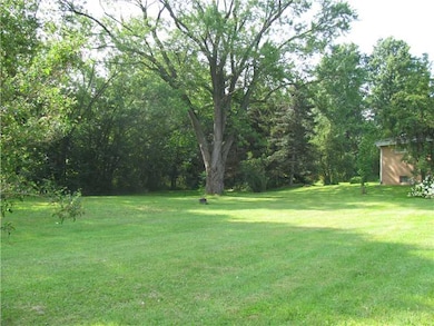 Yard/Garden.