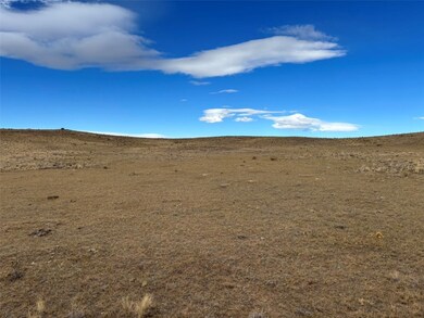 3779 Uxta Trail, Hartsel, CO 80449 - photo 7