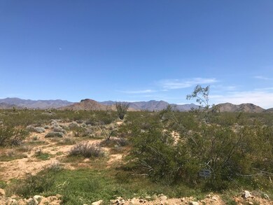 0000 Parcel 3404 Lone Ranger Rd, Yucca, AZ 86438 - photo 2