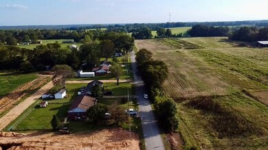 495 Rowland Mill Rd, Bruceton, TN 38317 - photo 3