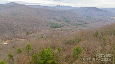 0 Taylor Dr unit CAR4210184, Moravian Falls, NC 28654 - photo 6