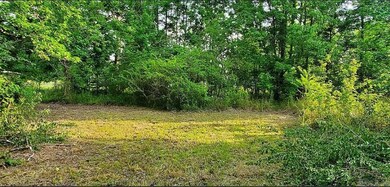 174 E Main St, Sparkman, AR 71763 - photo 6