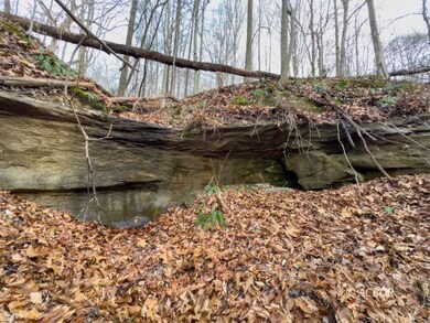 14418 State Route 93 S, Logan, OH 43138 - photo 3