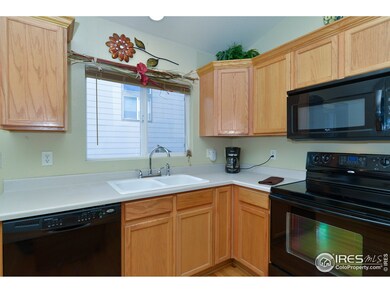 12721 Clermont St, Thornton, CO 80241 - photo 4