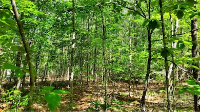 Wooded with Pines & Hardwoods~~