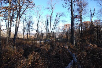 Lot 67 Mill Mountain Rd, Romney, WV 26757 - photo 6