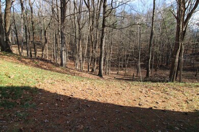 113 Chester Rd, Derry, NH 03038 - photo 5